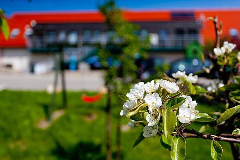 Appartamento Katarzynka Boleścin Esterno foto